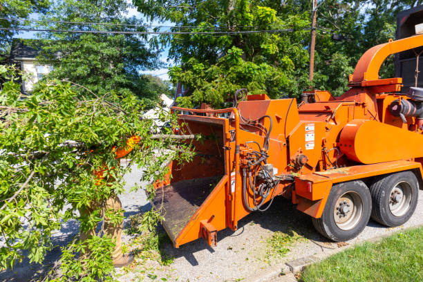  Holiday Island, AR Tree Service Pros